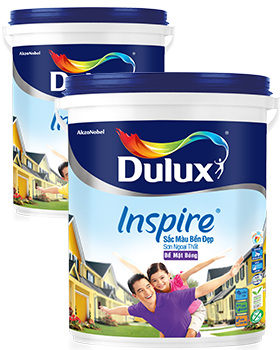 dulux inspire bong